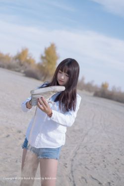 钢之炼金术师fa 63